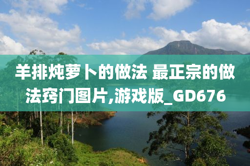 羊排炖萝卜的做法 最正宗的做法窍门图片,游戏版_GD676