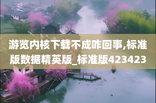 游览内核下载不成咋回事,标准版数据精英版_标准版423423