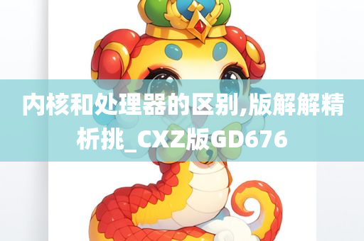 内核和处理器的区别,版解解精析挑_CXZ版GD676