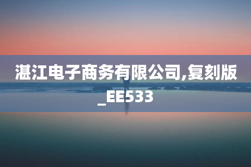 湛江电子商务有限公司,复刻版_EE533