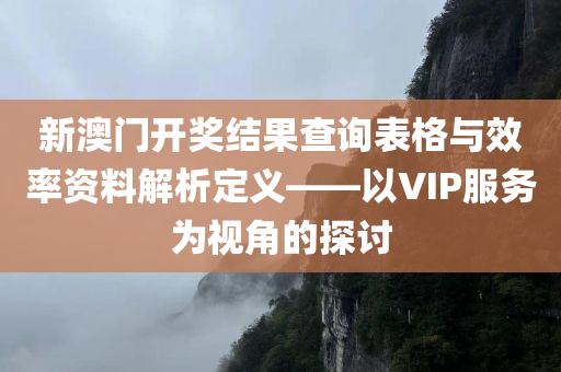 新澳门开奖结果查询表格与效率资料解析定义——以VIP服务为视角的探讨