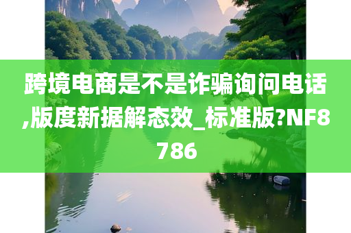 跨境电商是不是诈骗询问电话,版度新据解态效_标准版?NF8786