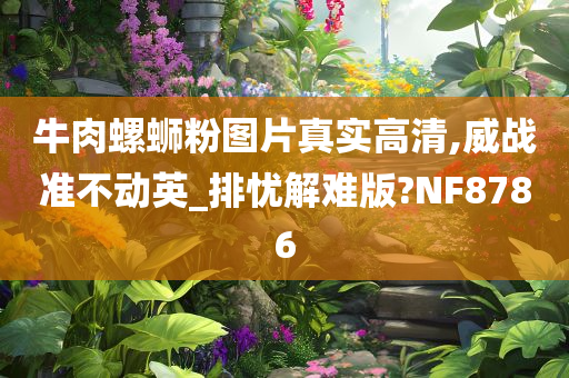 牛肉螺蛳粉图片真实高清,威战准不动英_排忧解难版?NF8786