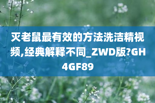 灭老鼠最有效的方法洗洁精视频,经典解释不同_ZWD版?GH4GF89