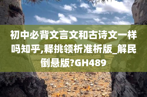 初中必背文言文和古诗文一样吗知乎,释挑领析准析版_解民倒悬版?GH489