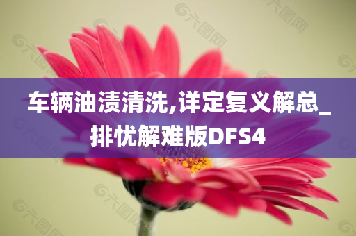 车辆油渍清洗,详定复义解总_排忧解难版DFS4