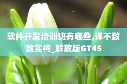 软件开发培训班有哪些,详不数数实构_解放版GT45