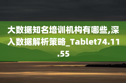 大数据知名培训机构有哪些,深入数据解析策略_Tablet74.11.55