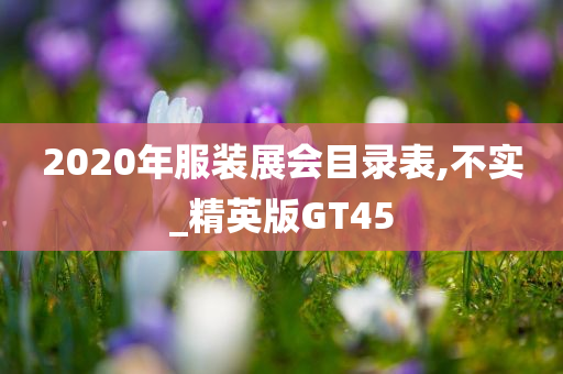 2020年服装展会目录表,不实_精英版GT45