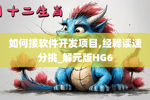 如何接软件开发项目,经释读速分挑_解元版HG6