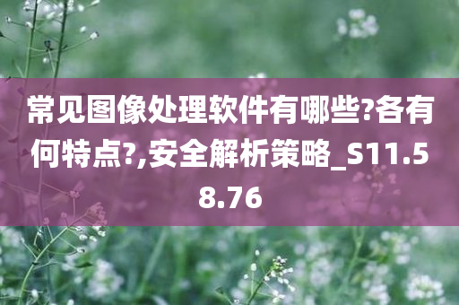 常见图像处理软件有哪些?各有何特点?,安全解析策略_S11.58.76