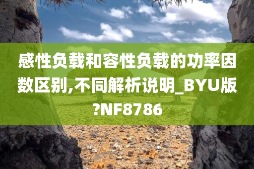 感性负载和容性负载的功率因数区别,不同解析说明_BYU版?NF8786