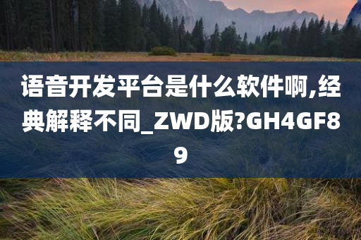 语音开发平台是什么软件啊,经典解释不同_ZWD版?GH4GF89