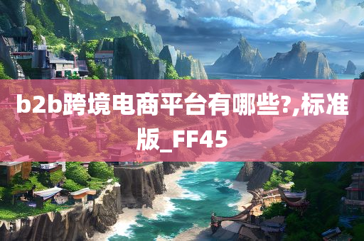 b2b跨境电商平台有哪些?,标准版_FF45