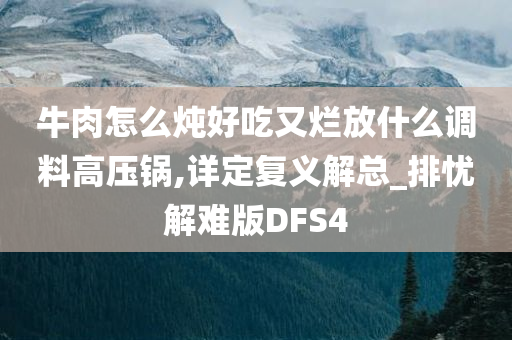 牛肉怎么炖好吃又烂放什么调料高压锅,详定复义解总_排忧解难版DFS4