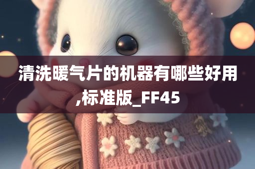 清洗暖气片的机器有哪些好用,标准版_FF45