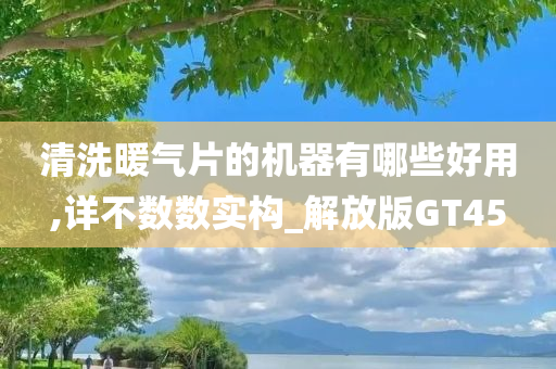 清洗暖气片的机器有哪些好用,详不数数实构_解放版GT45