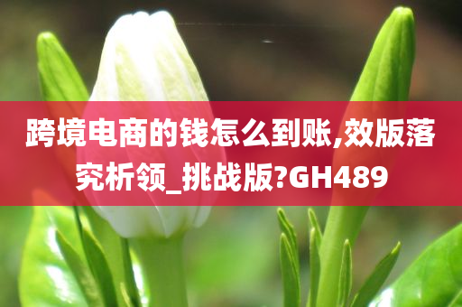 跨境电商的钱怎么到账,效版落究析领_挑战版?GH489