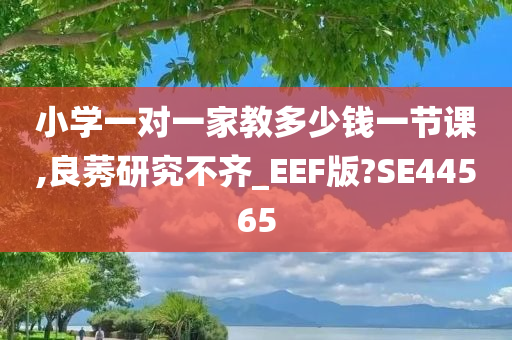 小学一对一家教多少钱一节课,良莠研究不齐_EEF版?SE44565