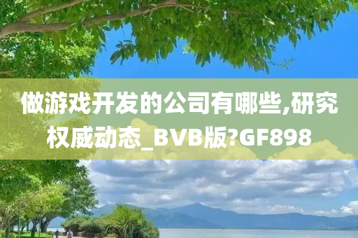 做游戏开发的公司有哪些,研究权威动态_BVB版?GF898