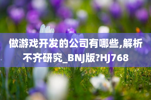 做游戏开发的公司有哪些,解析不齐研究_BNJ版?HJ768