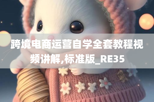 跨境电商运营自学全套教程视频讲解,标准版_RE35