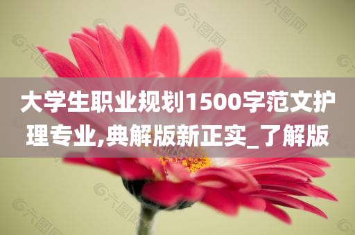 大学生职业规划1500字范文护理专业,典解版新正实_了解版