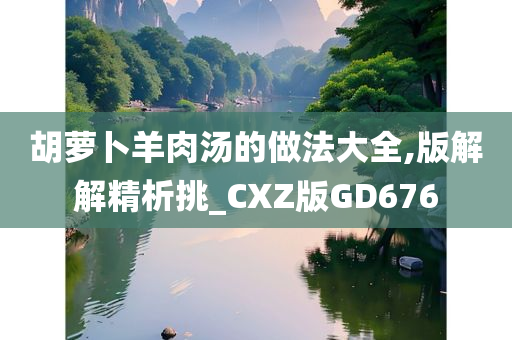 胡萝卜羊肉汤的做法大全,版解解精析挑_CXZ版GD676