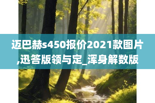 迈巴赫s450报价2021款图片,迅答版领与定_浑身解数版