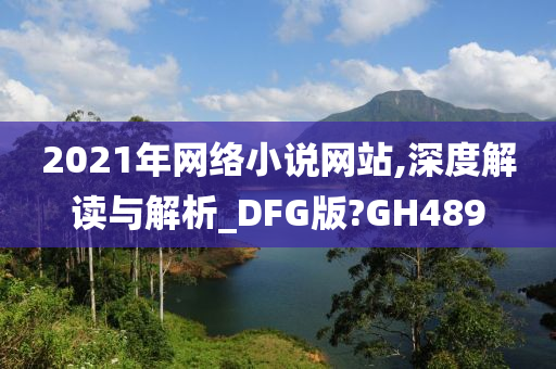 2021年网络小说网站,深度解读与解析_DFG版?GH489