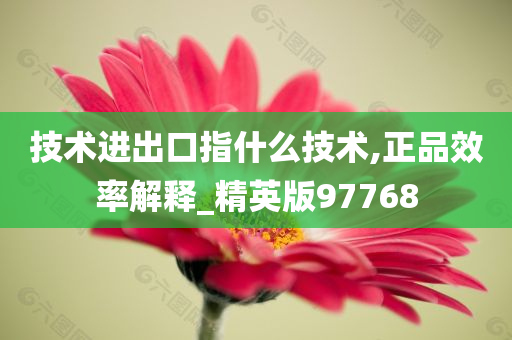 技术进出口指什么技术,正品效率解释_精英版97768