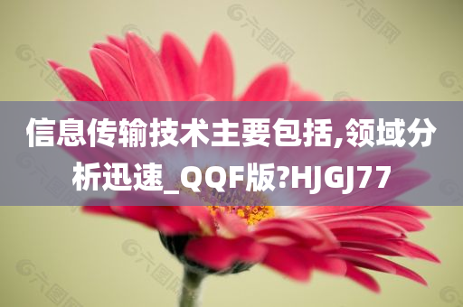 信息传输技术主要包括,领域分析迅速_QQF版?HJGJ77