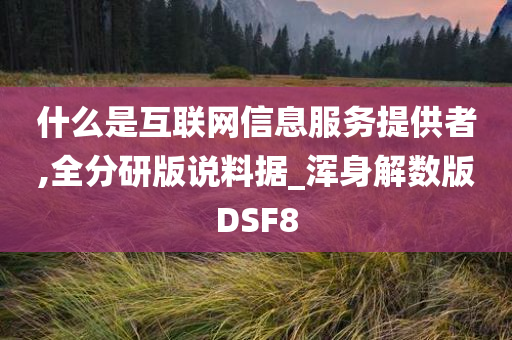 什么是互联网信息服务提供者,全分研版说料据_浑身解数版DSF8