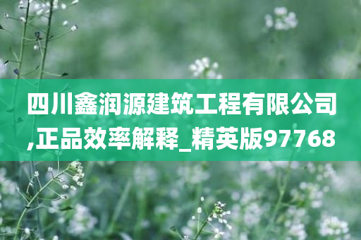 四川鑫润源建筑工程有限公司,正品效率解释_精英版97768