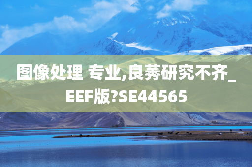 图像处理 专业,良莠研究不齐_EEF版?SE44565