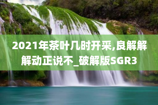 2021年茶叶几时开采,良解解解动正说不_破解版SGR3