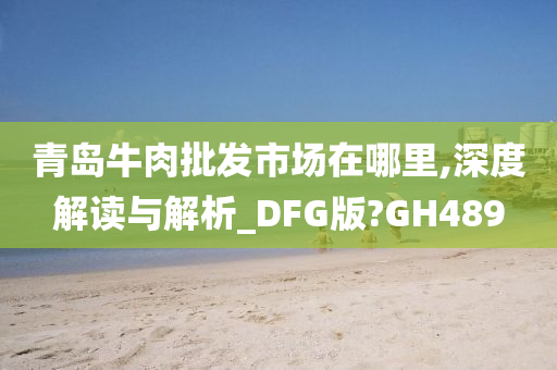 青岛牛肉批发市场在哪里,深度解读与解析_DFG版?GH489