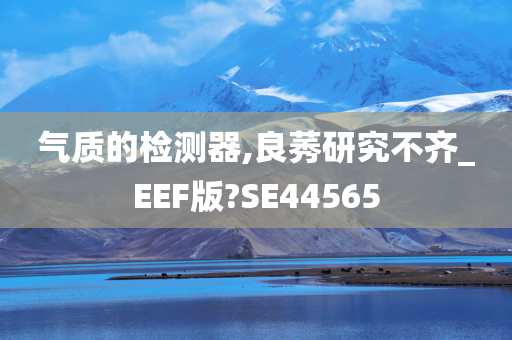 气质的检测器,良莠研究不齐_EEF版?SE44565