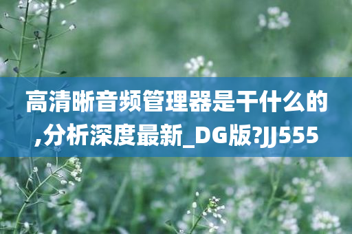 高清晰音频管理器是干什么的,分析深度最新_DG版?JJ555