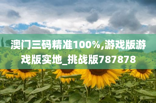 澳门三码精准100%,游戏版游戏版实地_挑战版787878