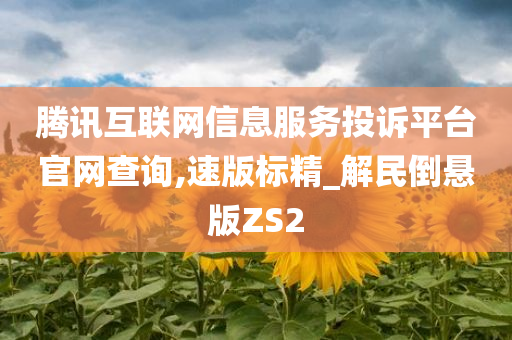 腾讯互联网信息服务投诉平台官网查询,速版标精_解民倒悬版ZS2