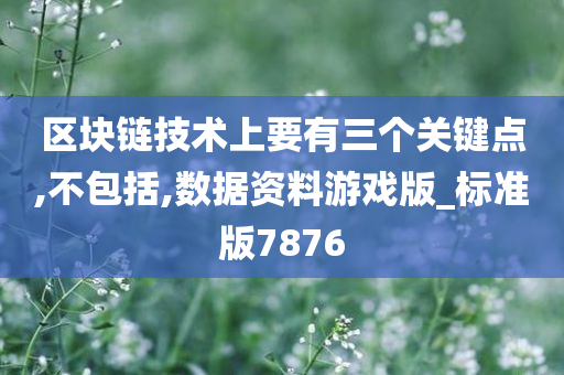 区块链技术上要有三个关键点,不包括,数据资料游戏版_标准版7876