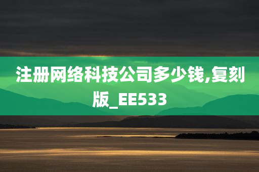 注册网络科技公司多少钱,复刻版_EE533