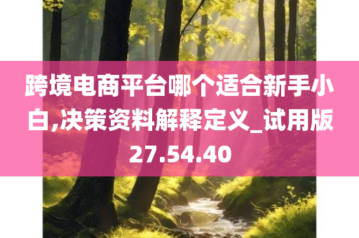 跨境电商平台哪个适合新手小白,决策资料解释定义_试用版27.54.40