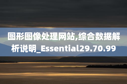 图形图像处理网站,综合数据解析说明_Essential29.70.99