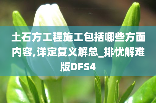 土石方工程施工包括哪些方面内容,详定复义解总_排忧解难版DFS4