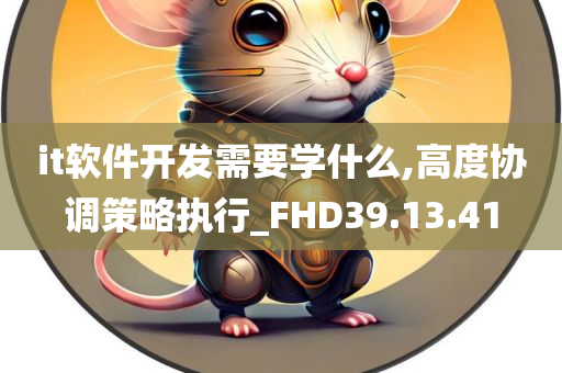 it软件开发需要学什么,高度协调策略执行_FHD39.13.41