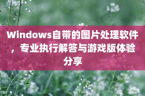 Windows自带的图片处理软件，专业执行解答与游戏版体验分享