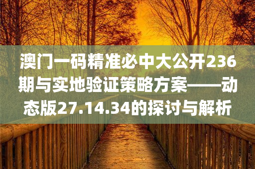 澳门一码精准必中大公开236期与实地验证策略方案——动态版27.14.34的探讨与解析