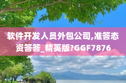 软件开发人员外包公司,准答态资答答_精英版?GGF7876